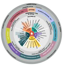 Skills Map Compass 2